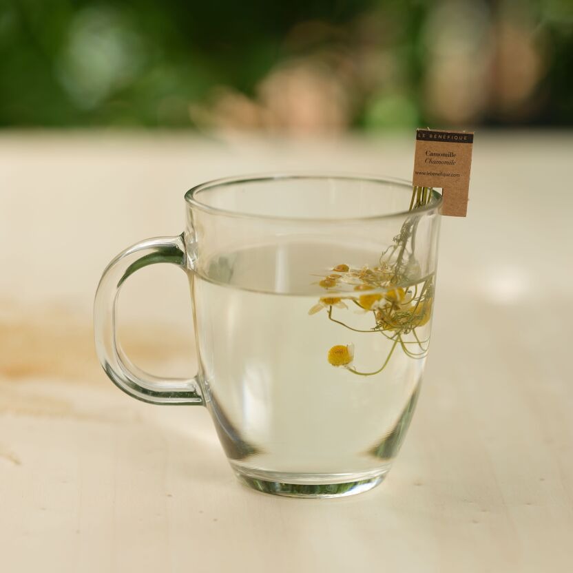 Le Bénéfique Camomille 16 tiges
