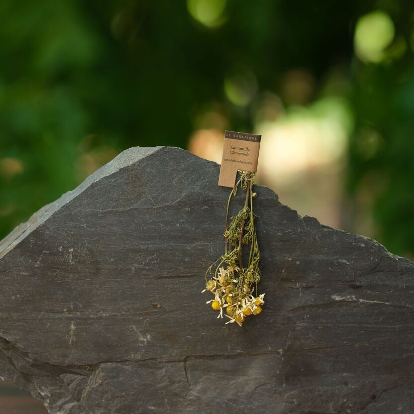 Le Bénéfique Camomille 16 tiges